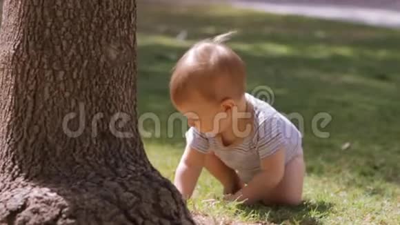 小男孩从树上爬出来转身去草地上调查别的事情视频的预览图