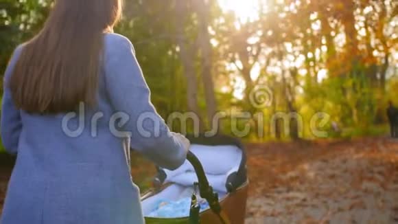 秋天妈妈和宝宝一起在公园的婴儿车里散步一个现代围手中的孩子生育观念中等视频的预览图