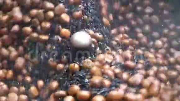 栗子烤机工作栗子种子视频的预览图