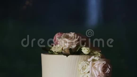 在美丽的婚礼蛋糕和粉红色玫瑰上的特写全景视频的预览图
