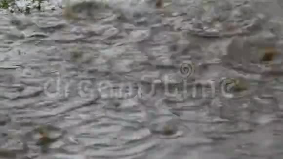 雨水落在一个巨大的滑坡上有一个流动的肮脏的大水坑自然灾害视频的预览图