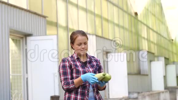 一位戴着蓝手套的女农民在温室里抱着新鲜的西葫芦视频的预览图