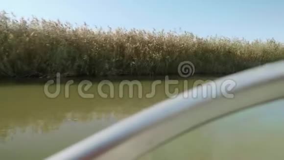 从移动的船上看到河岸上干燥的芦苇视频的预览图