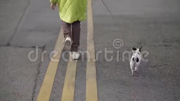 女孩和她的狗吉娃娃在城市人行道上奔跑视频的预览图