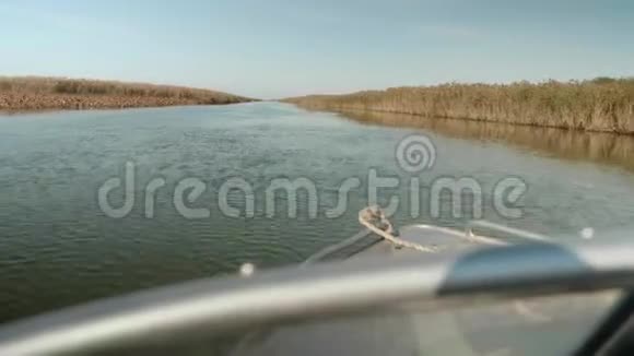 从船上向前看河流水面迪尔芦苇在河的两边一大早视频的预览图