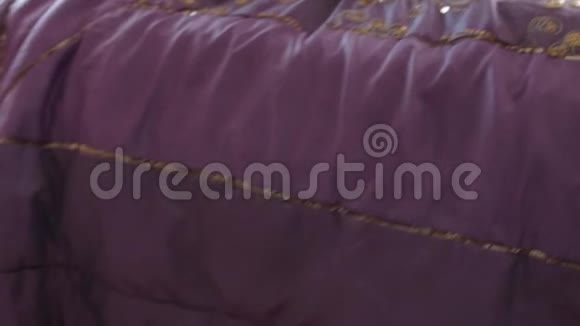 红色的英国猫用紫色的盖子跳到床上躺在上面视频的预览图