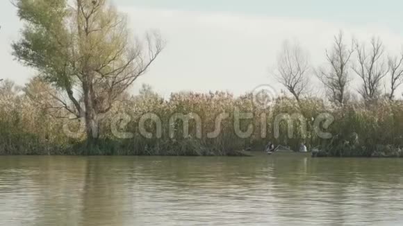 渔民在河上干芦苇附近的高速摩托艇上捕鱼眼睛视角视频的预览图