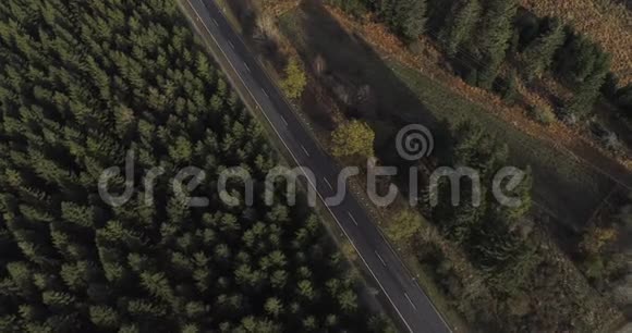 鸟瞰森林景观中一条偏僻的道路视频的预览图