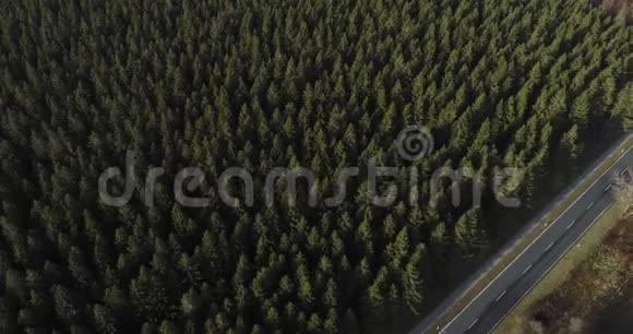 鸟瞰森林景观中一条偏僻的道路视频的预览图