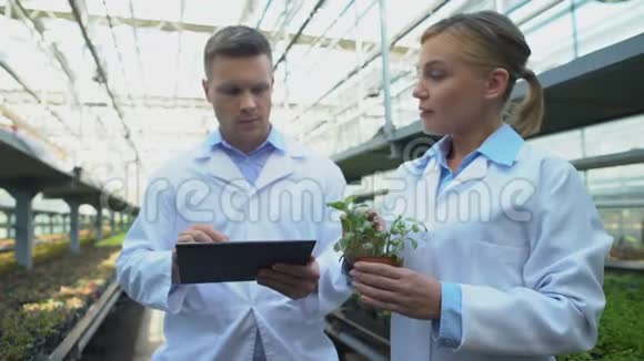 科学家小组研究用平板电脑制作植物笔记育种科学视频的预览图