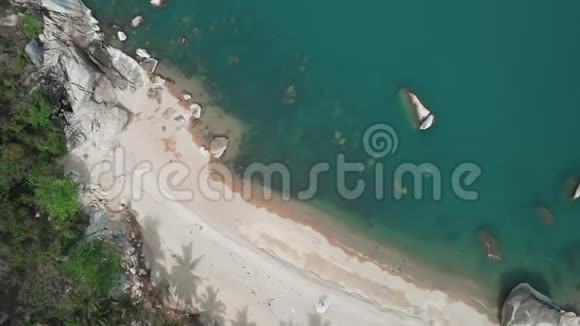 鸟瞰风景海滩前往泰国的野生丛林海波漏白沙棕榈树从下面经过视频的预览图