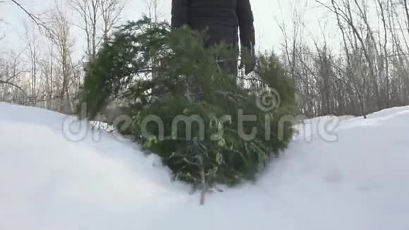 在平安夜和新年之前有一辆车把杉树拖到家里人走在雪地里概念的开端视频的预览图
