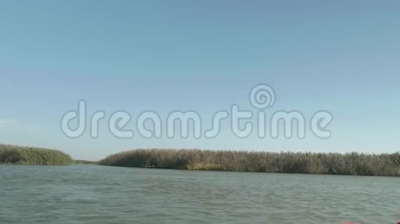 从水路干芦苇之间航行的船上可以看到秋天的风景视频的预览图