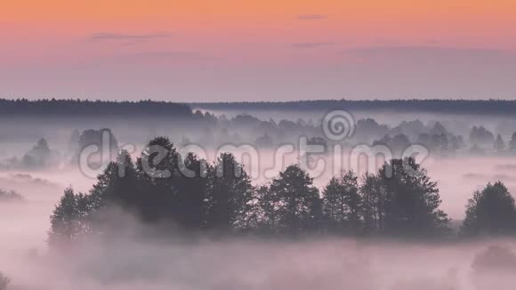 神奇的日出越过薄雾景观雾状的早晨天空太阳升起在薄雾森林和河流之上视频的预览图