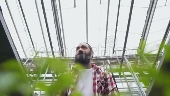 快乐的农民在温室里工作把植物放在手推车里俯视视频的预览图