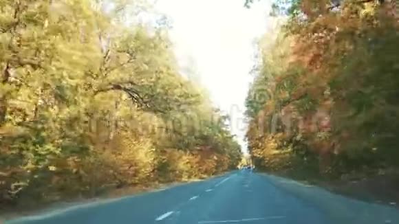 黄色森林附近道路的秋天全景视频的预览图