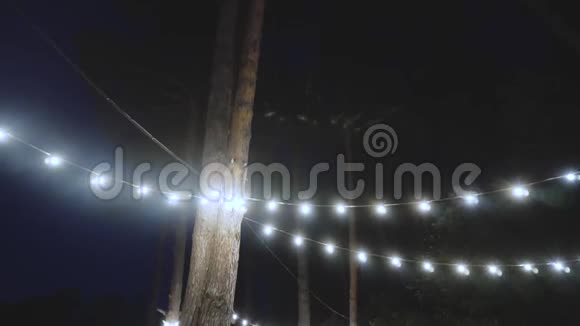 夜晚的夏日公园有发光的灯光视频的预览图