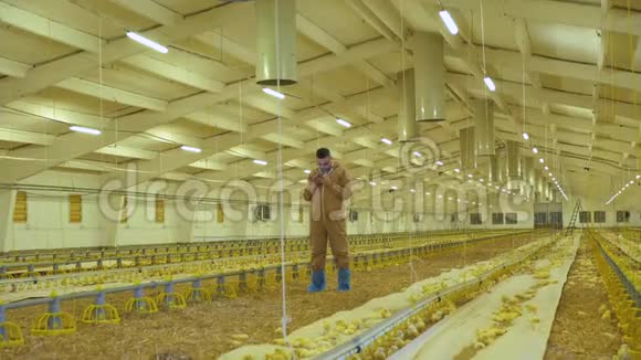 农民在家禽养殖场使用智能手机4K视频的预览图