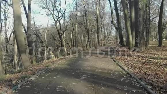 大城市公园的神奇景色视频的预览图