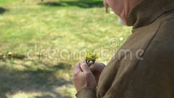 老年男性牵着黄色野花的手老年记忆享受大自然视频的预览图