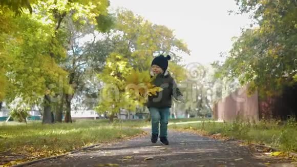 秋天公园里快乐的小男孩小孩子在秋步上玩耍秋天的树有金色的叶子视频的预览图