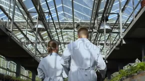 男女生物学家在温室里行走检查实验植物视频的预览图
