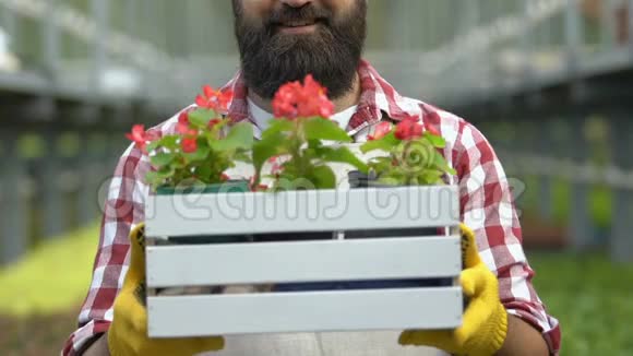 带花植物的男园长展示盒子农田工人农作物种植视频的预览图