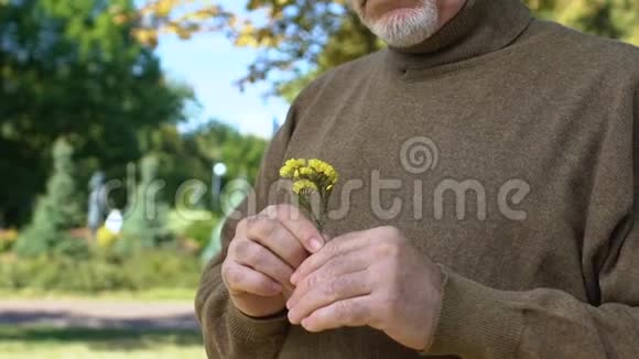 微笑老年男性牵着黄色野花的手站在户外大自然视频的预览图