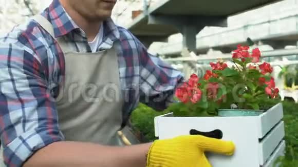 温室园丁把花盆送给女同事种植视频的预览图