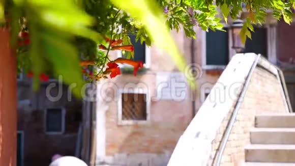 在威尼斯街头的特写镜头里美丽的女孩闻到了红花的味道视频的预览图