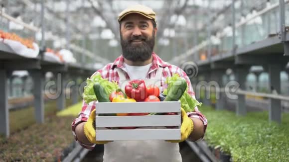 开朗的农民展示有机蔬菜收获箱温室技术视频的预览图
