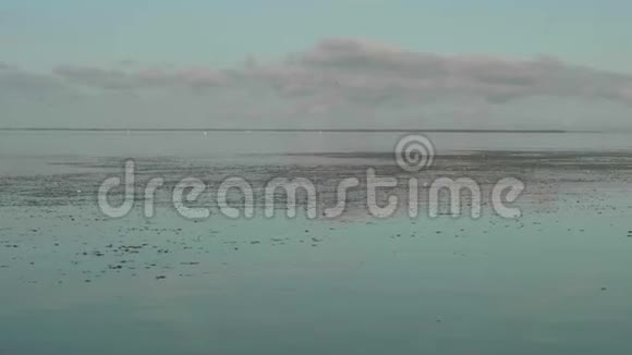 观水杂草与百万侏儒近舟水污染伏尔加河甩开了腰视频的预览图