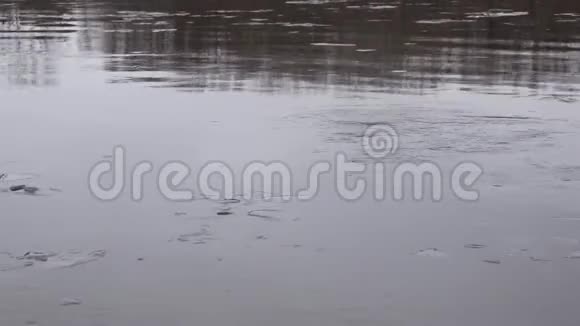 冰块在河水中自由漂浮视频的预览图
