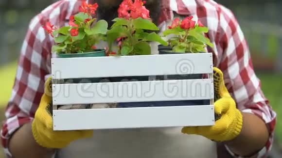 快乐的温室工人在木箱里拿着花草在农村工作视频的预览图