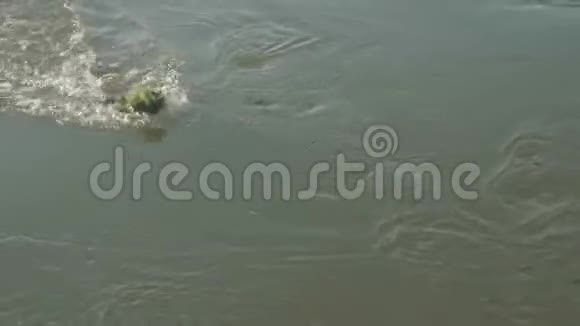 装满水的杂草被拉到船上在河上捕鱼时失败视频的预览图