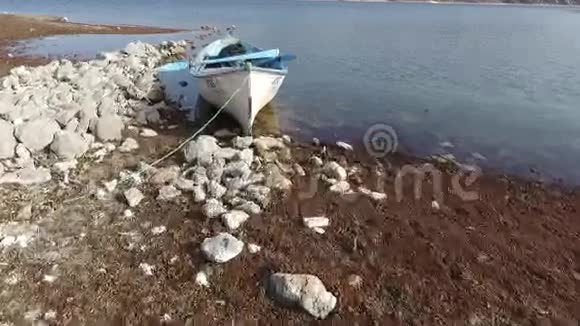 湖上船视频的预览图