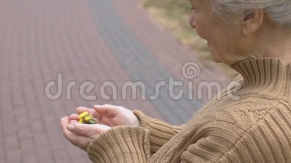 开朗的老太太手里拿着黄色的花享受着与大自然的联系视频的预览图