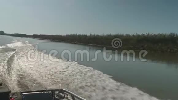 航行时摩托艇留下的河水痕迹柔和的晚光干燥的芦苇海岸视频的预览图