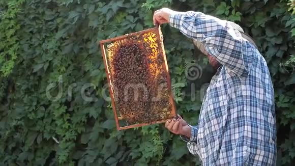 有蜜蜂的养蜂人视频的预览图