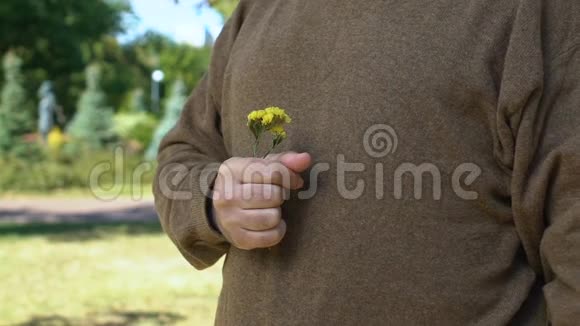 黄野花在老年男性手中象征着回忆等待约会视频的预览图