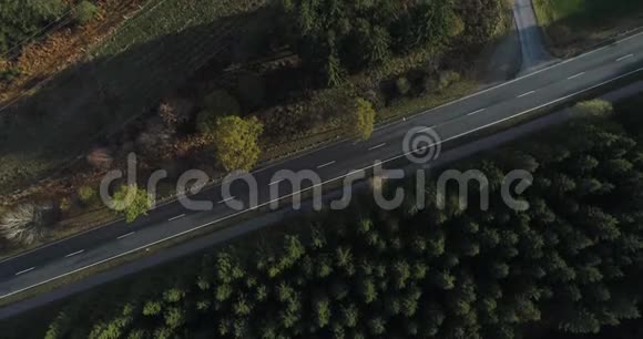 鸟瞰森林景观中一条偏僻的道路视频的预览图