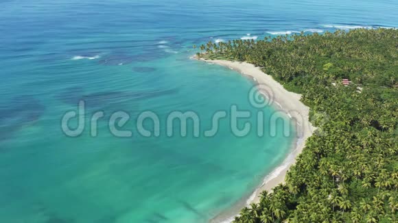 棕榈滩景观海和白沙滩的背景拥有棕榈树的美丽海岸度假胜地视频的预览图