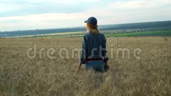 一个穿着牛仔裤和帽子的苗条女人穿过麦田在阳光下用手机拍下小穗的照片视频的预览图