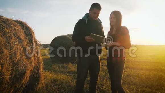 两个农民在一片田野里对着日落说话一群农民站在田里用平板电脑控制庄稼视频的预览图