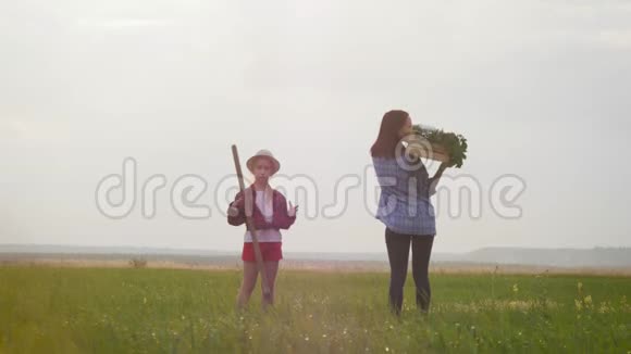 母女收割时间有趣的女儿在农场收获向日葵视频的预览图