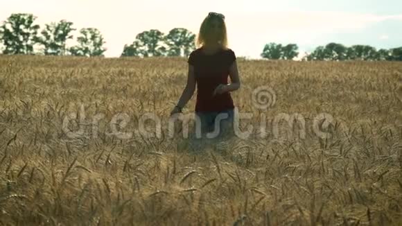 一个苗条的女人走在麦田上在一个阳光明媚的夏日她微笑着捧着洋甘菊花视频的预览图