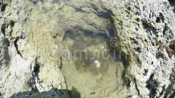 岩石上的洞里有水分开的部分海域视频的预览图