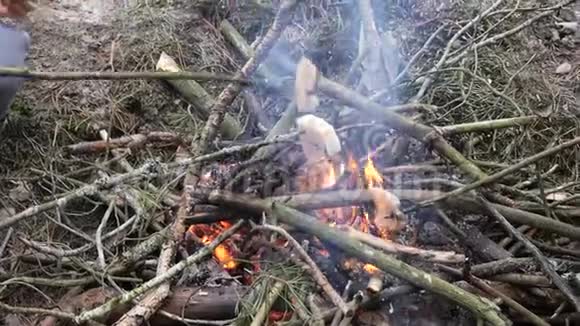 母亲和儿子在大自然的篝火上准备食物视频的预览图