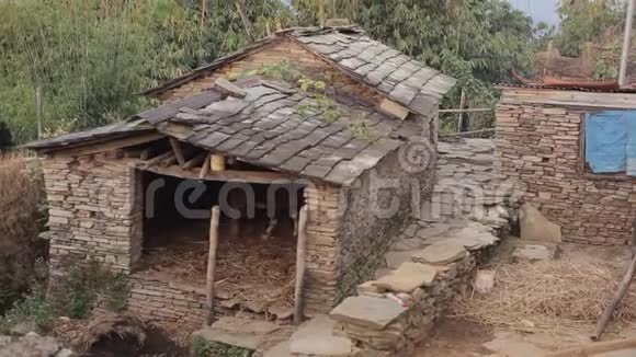 尼泊尔亚洲一个私人小摊位里的一头牛村庄视频的预览图