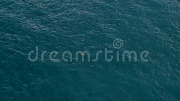 两艘独木舟在开阔的大海里视频的预览图